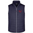 color:navy
